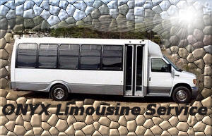 Houston limo mini bus